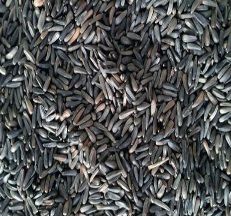 Niger Seeds