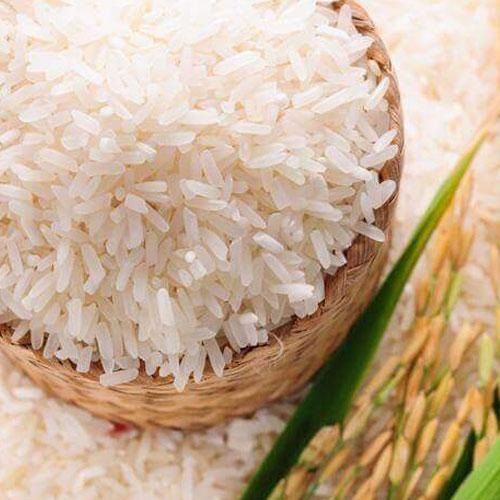 non-basmati rice