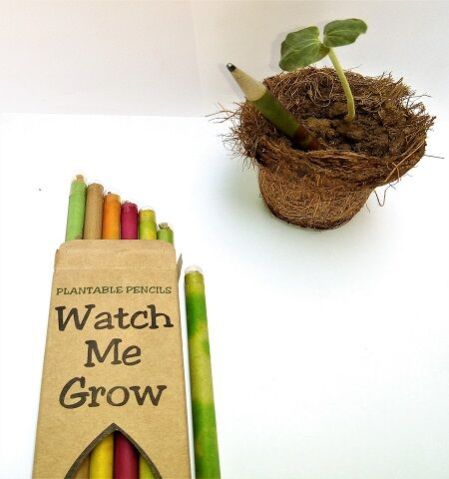 Plantable Seed Pencil Set