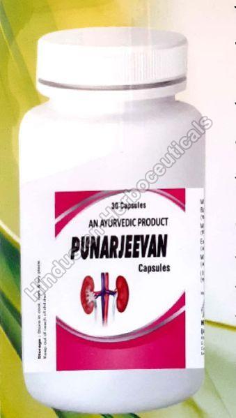 Punarjeevan Kidney Care Capsule