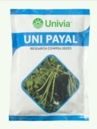 Uni Payal Research Cowpea Seeds
