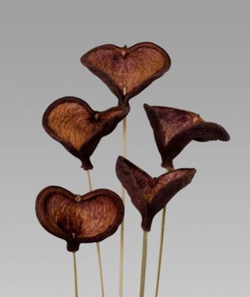 Badam On Stem, Packaging Type : Plastic Wrap for Home Decor