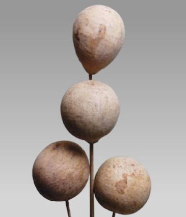 Bel Fruit On Stem for Consumption