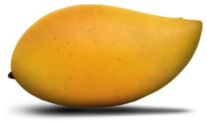 Alphonso Mango, Color : Yellow