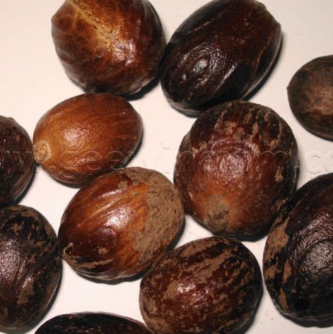 Fresh Nutmeg Seed