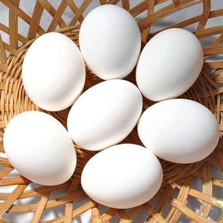 White Chicken Eggs