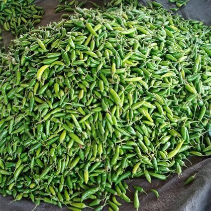 Green Chili, Packaging Type : Loose/bunch for Cooking, Seasoning