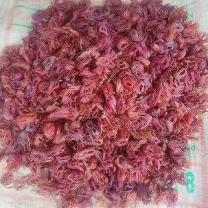 Mace Spice, Color : Reddish-orange