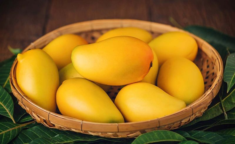 Fresh Yellow Alphonso Mango