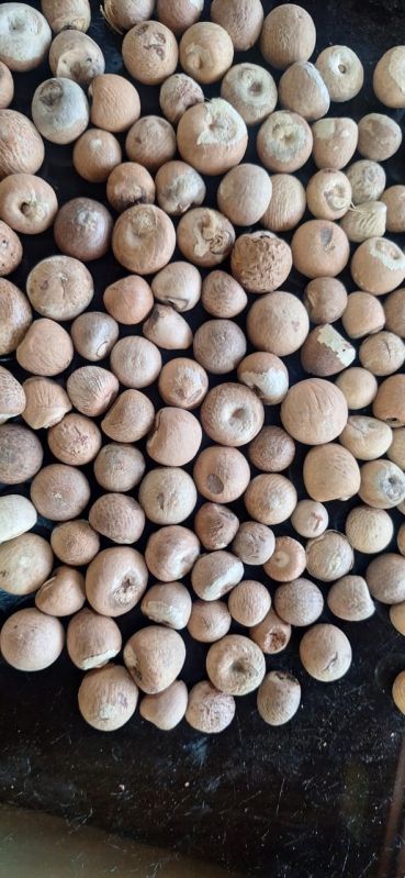 betel nuts