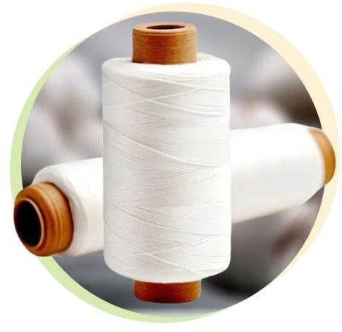 Cotton Carded Yarn for Hosiery & Weaving
