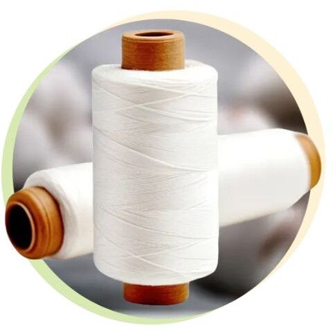 Cotton Double Yarn for Hosiery & Weaving