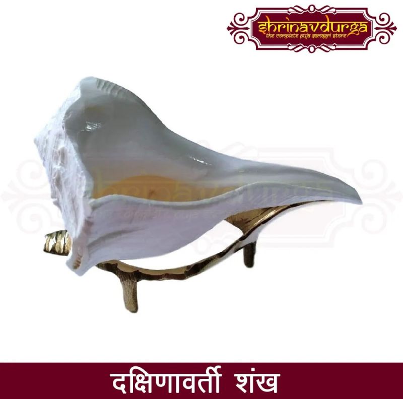 Dakshinavarti Shankh