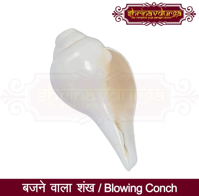Original Blowing Shankh