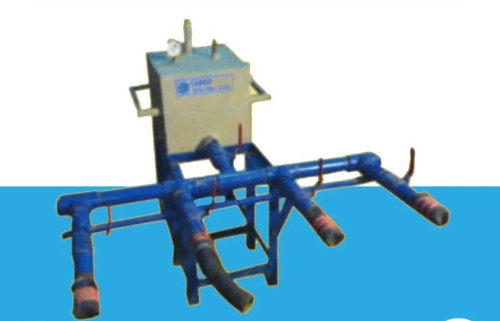 Bamboo Bouchrie Plant