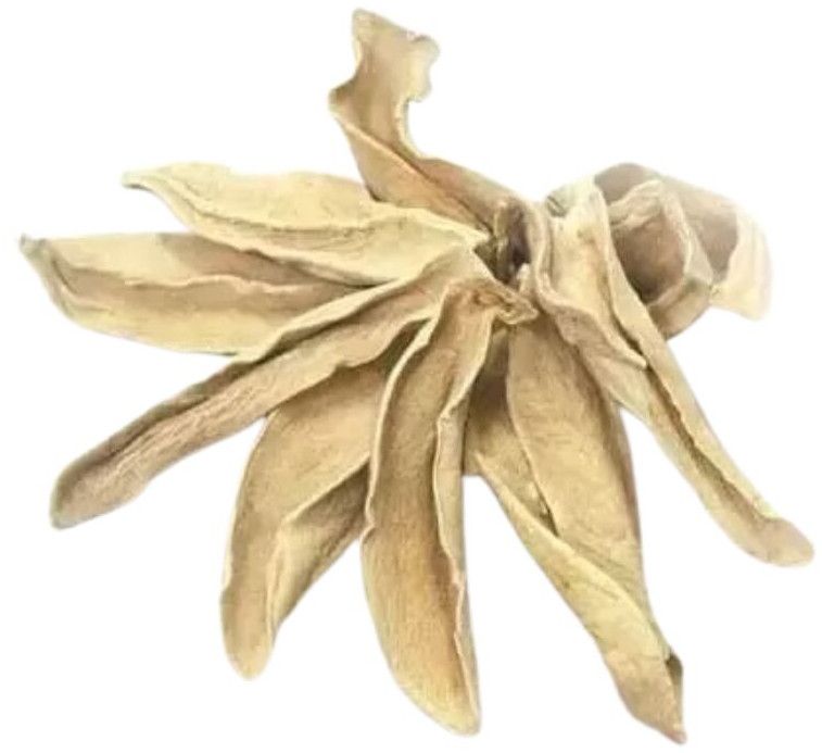 Dehydrated Amchur Slice