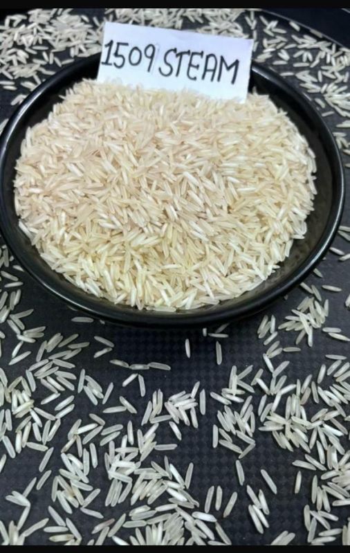 1121 steam rice