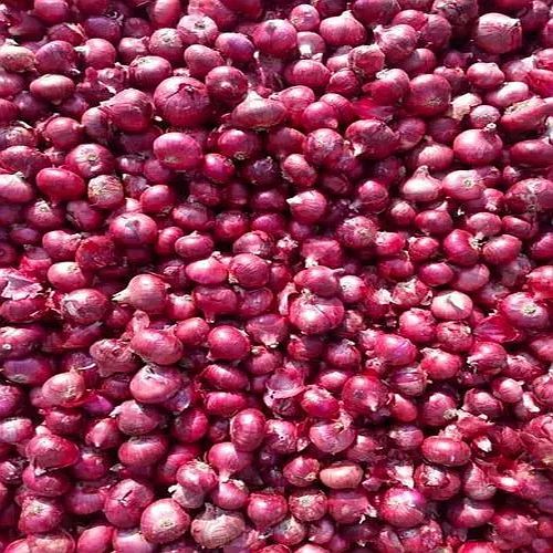 A Grade Fresh Red Onion