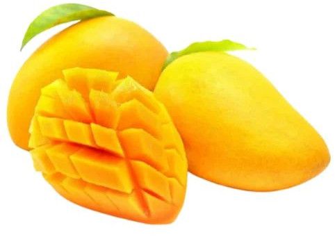 Export Quality Fresh Alphonso Mango, Color : Yellow