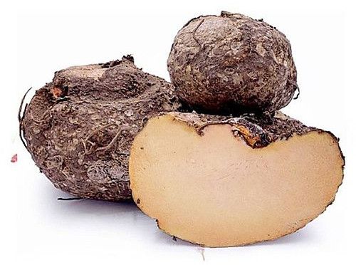 Fresh Elephant Yam, Color : Brown