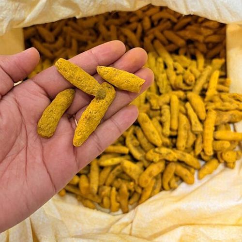 turmeric finger