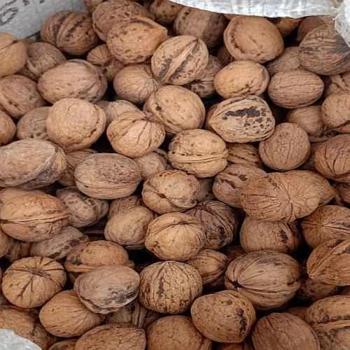 Kashmiri Shell Walnuts, Color : Brown