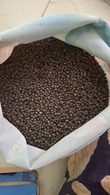 Whole Black Pepper