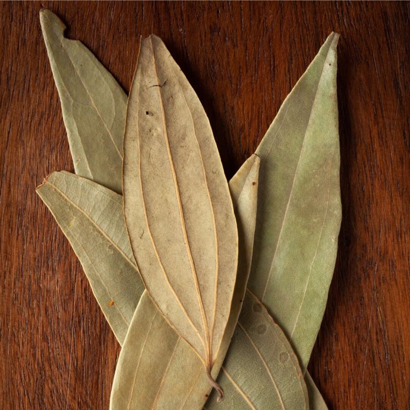 Bay Leaf