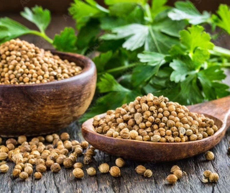 coriander seeds