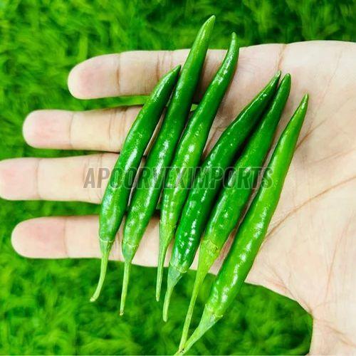 fresh g4 green chilli