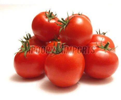 Organic Fresh Red Tomato for Cooking, Salads