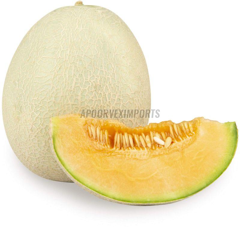 Fresh Round Muskmelon