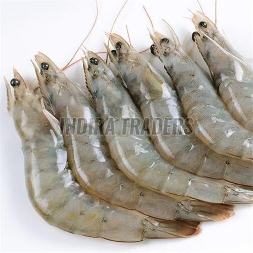 frozen vannamei shrimp