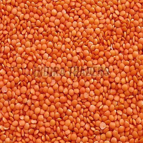 Red Whole Masoor Dal
