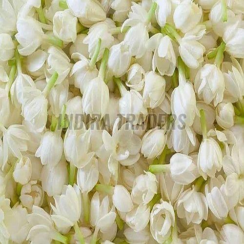 White Jasmine Flower
