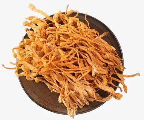 Dried Cordyceps Militaris, Color : Orange