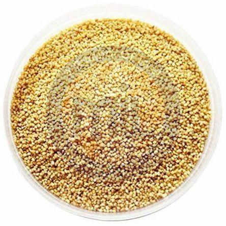 Natural Foxtail Millet Seeds Dried, Packaging Type : Plastic Packet