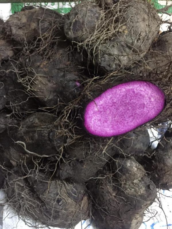 Frozen Purple Yam