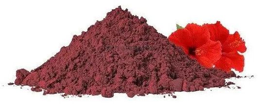 Treezen Organic Hibiscus Powder