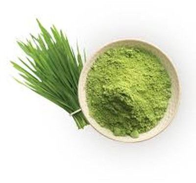 Treezen Organic Wheatgrass Powder