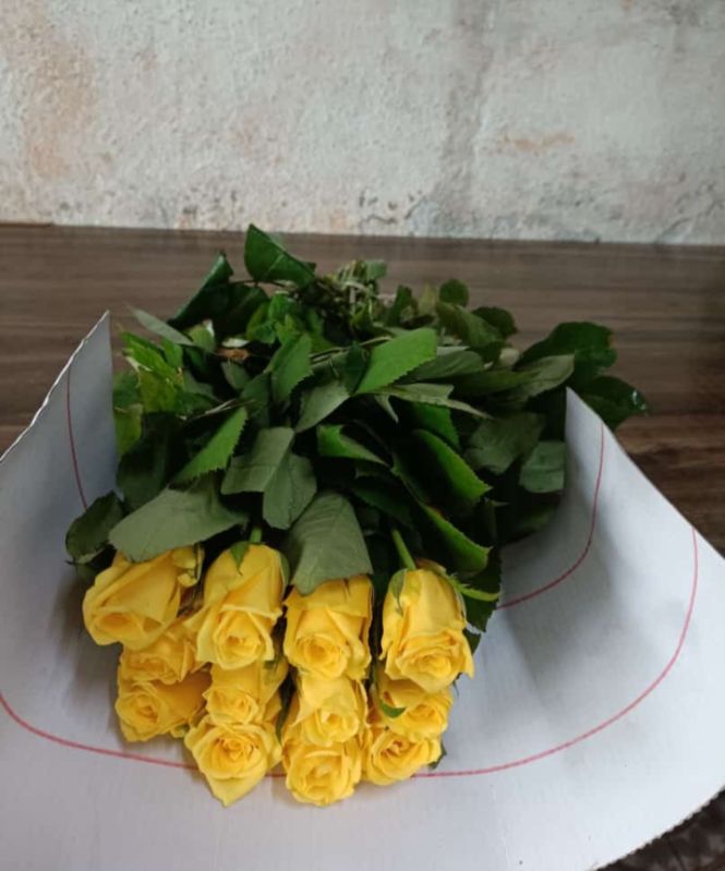Fresh Yellow Rose