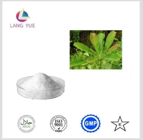 Magnolia Bark Extract Magnolia, Packaging Type : white, Form : China