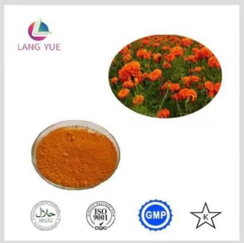 Natural Marigold Extract Lutein, Packaging Type : Brown yellow