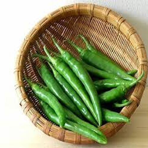 Common A Grade Fresh Green Chilli, Storage Tips : Cold Storage