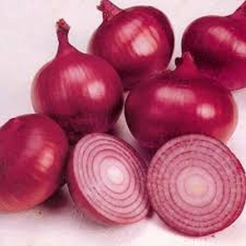 Fresh red onion, Packaging Size : 25Kg Gunny Bag