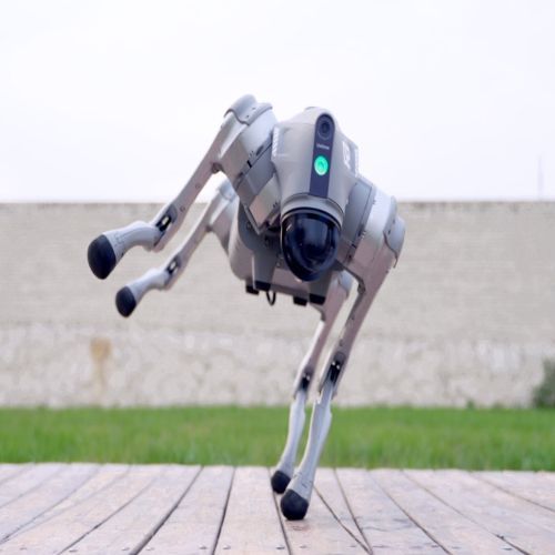 Unitree Go2 W Mobile Robot