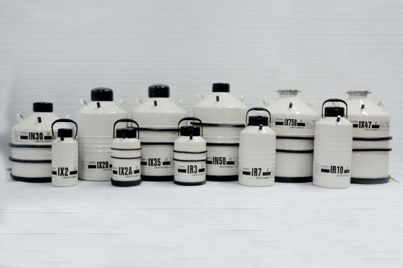 Inox Liquid Nitrogen Container