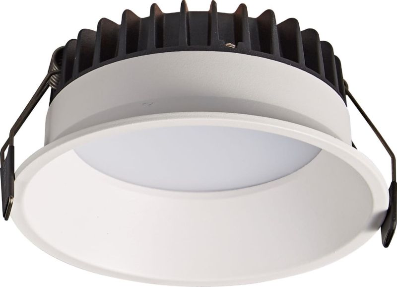 12W Deep Down Light