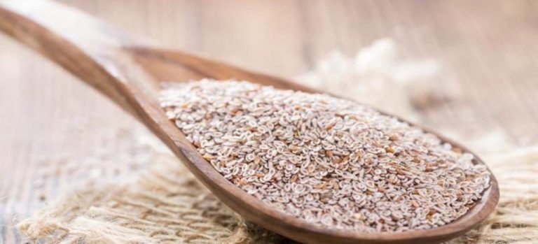 Psyllium Seeds