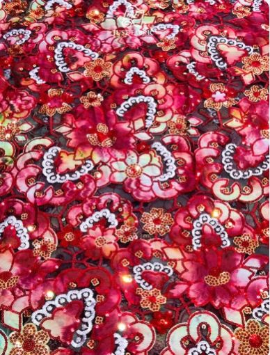 Multi Colour Thread Work and Jaal Allover on Net Fabric